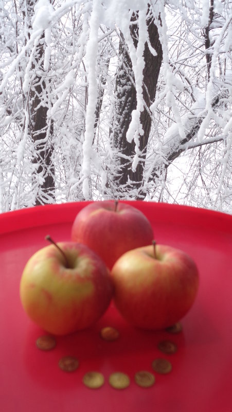 Фотопоэма "Яблочная зима"!... - Алекс Аро Аро