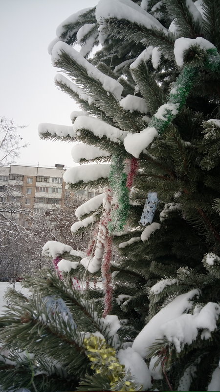Снег выпал.... - Сергей Тимоновский