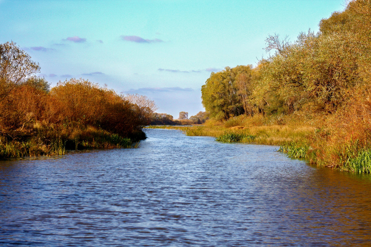 Река Старица Рязанская