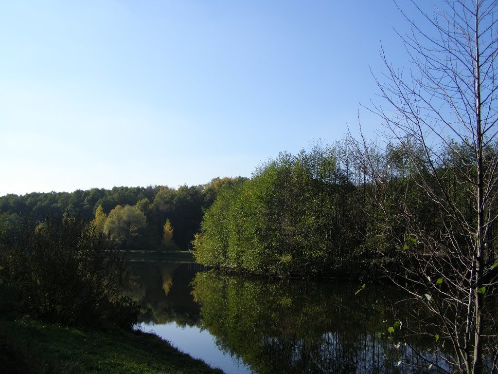 Осень, отражение - Анна Воробьева