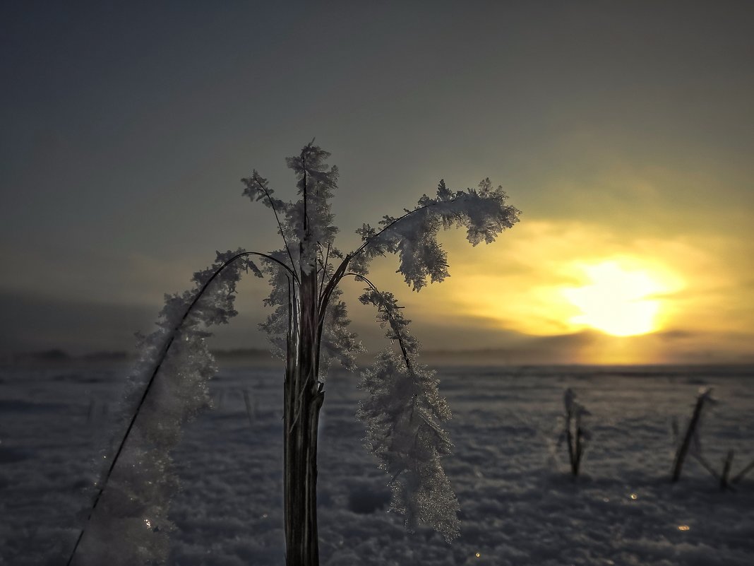 Уходящее солнце . - Va-Dim ...