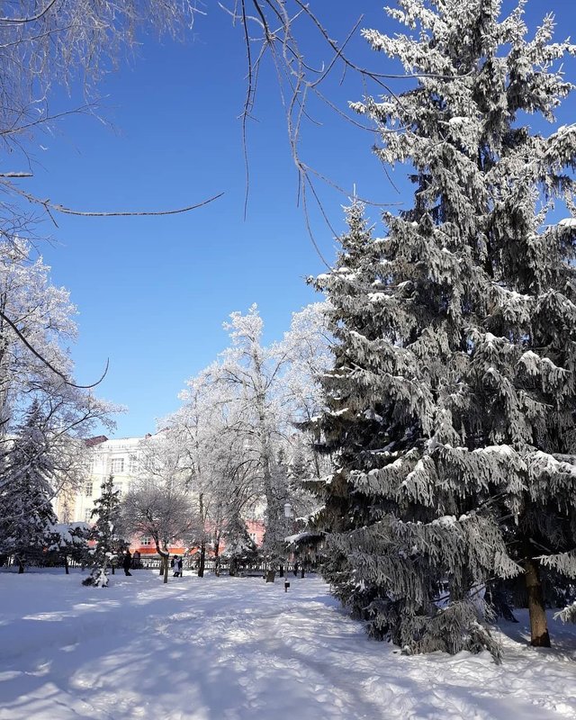 Курский, зимний день - Galina Belugina