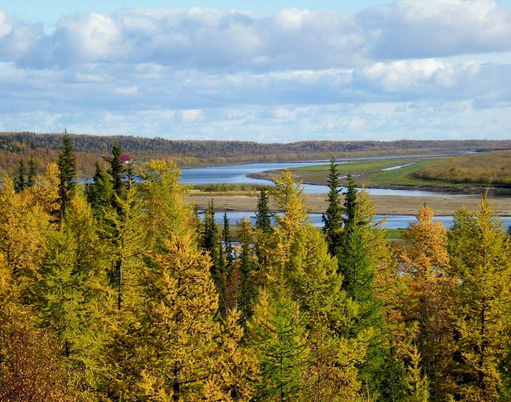 Осенний пейзаж - ГАЛИНА Баранова
