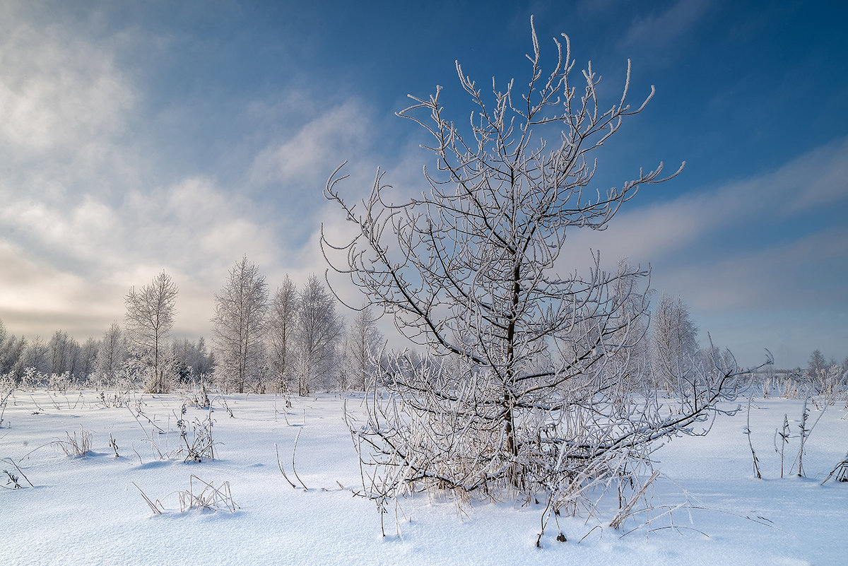 winter - Николай Колобов