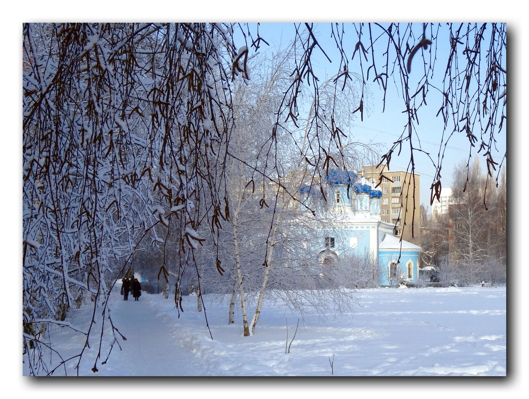 Морозно и солнечно. - Чария Зоя 