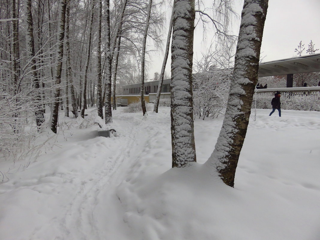 Настоящая зима в Москве - Андрей Лукьянов