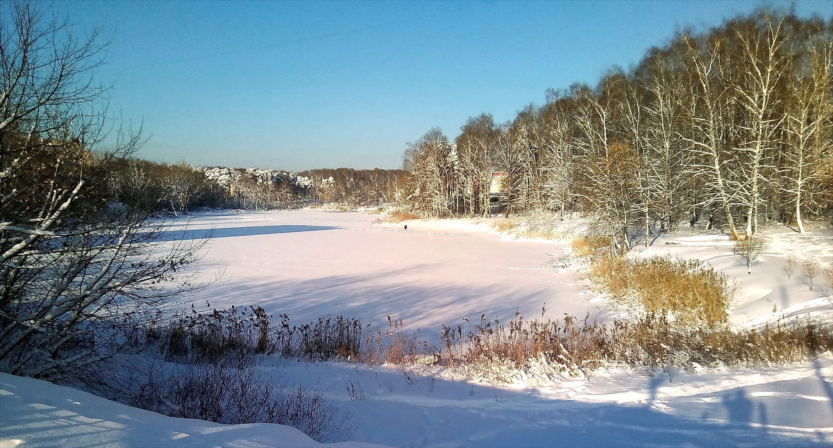 ПОДМОСКОВЬЕ - mveselnickij 