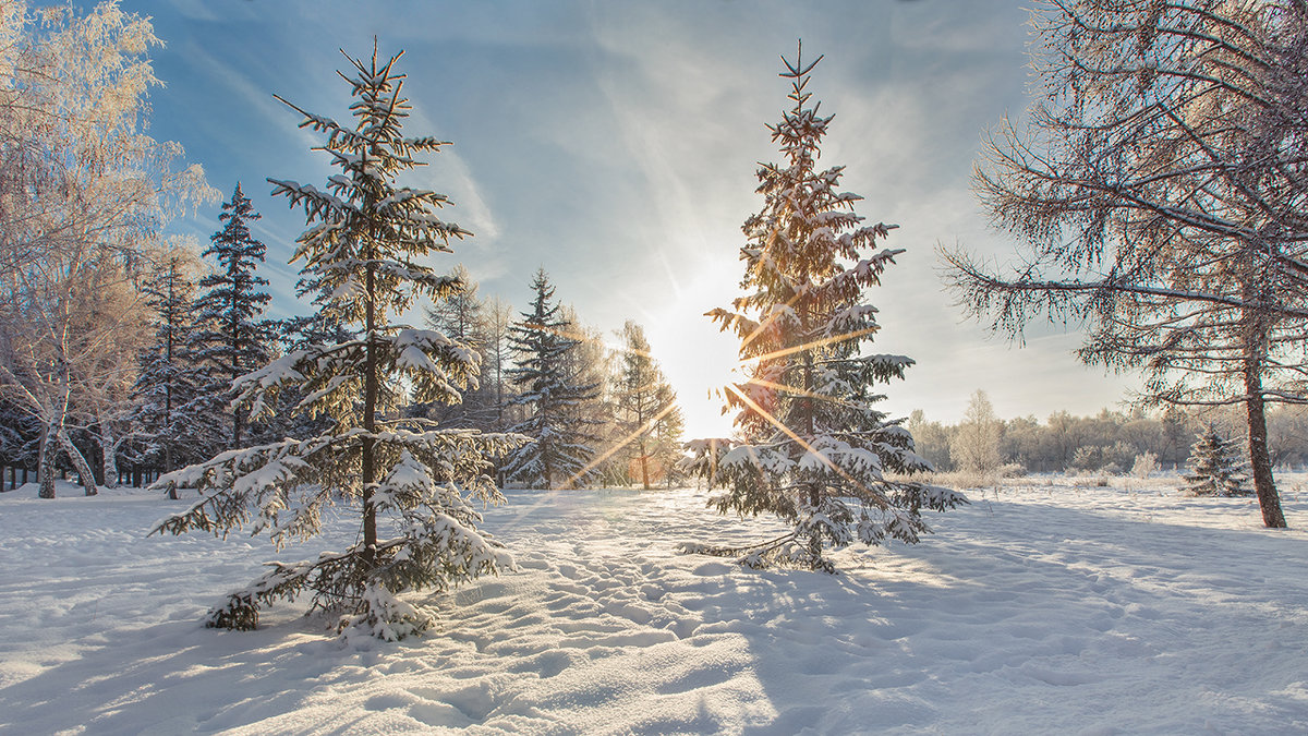 #зима #ОМСК #СИБИРЬ - Александр Иващин