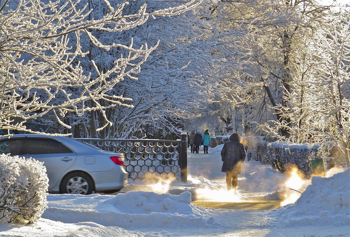 зима в городе - НАТАЛЬЯ 