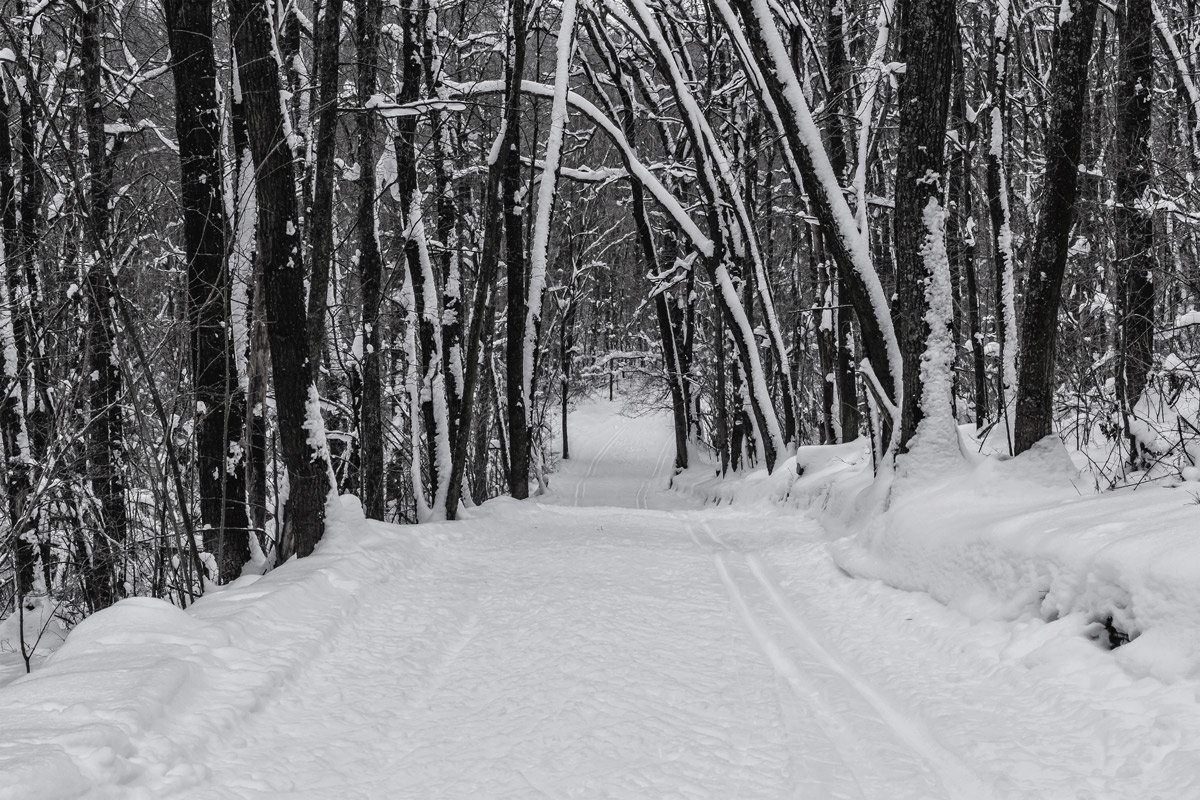Зимняя дорога в лесу - Юрий Стародубцев