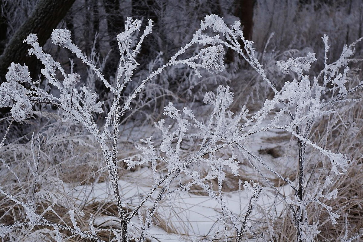 Зарисовка - Маргарита Батырева