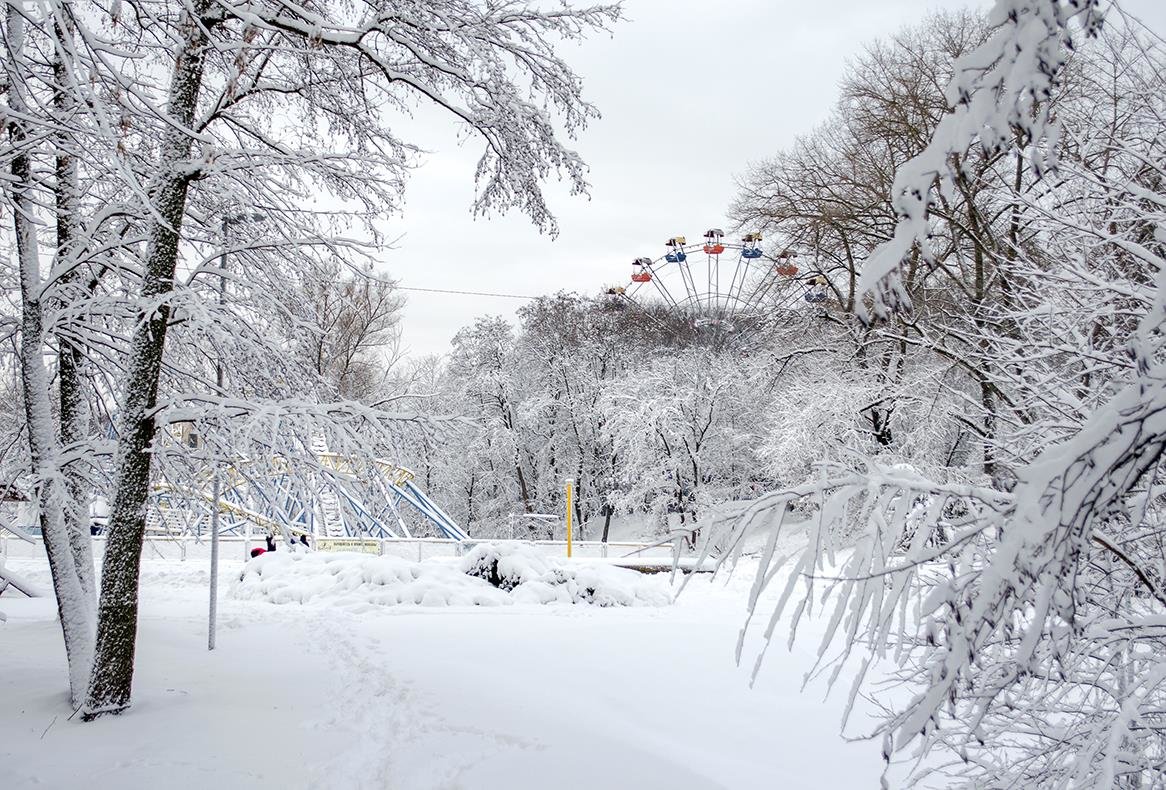 В зимнем парке - Сергей Тарабара