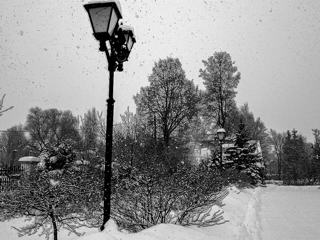 Снегопад однако. - Sergey Serebrykov
