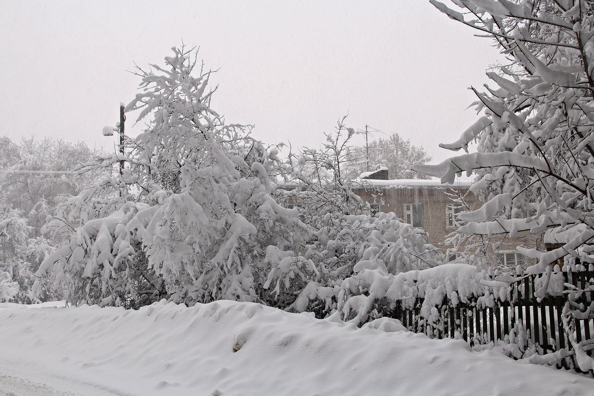 Вчерашний снегопад - Лара (АГАТА)