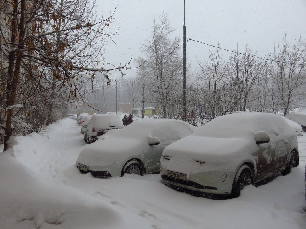 Свершилось: в Москве - настоящий снег! - Андрей Лукьянов