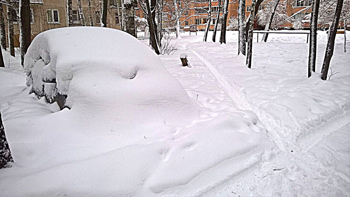 После снегопада - Елена Семигина