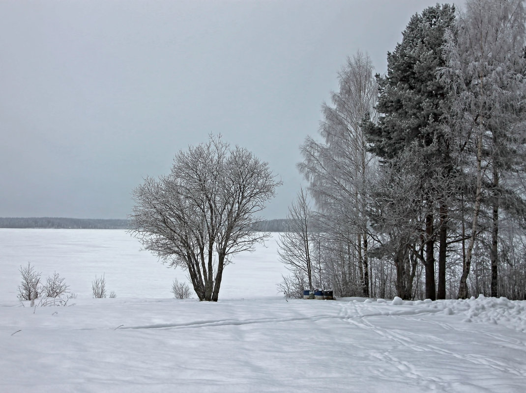 *** - Анжела Пасечник