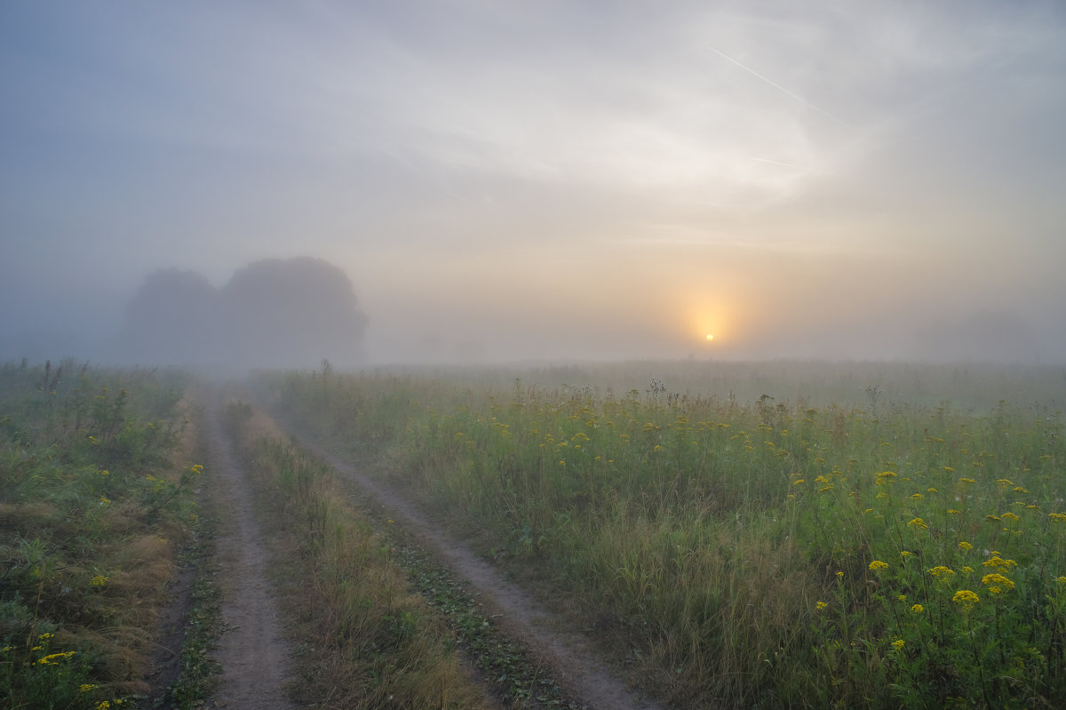В тумане летнего восхода. - Igor Andreev