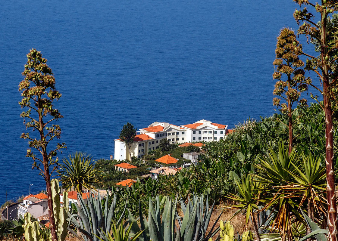 Остров Мадейра - Eduard .