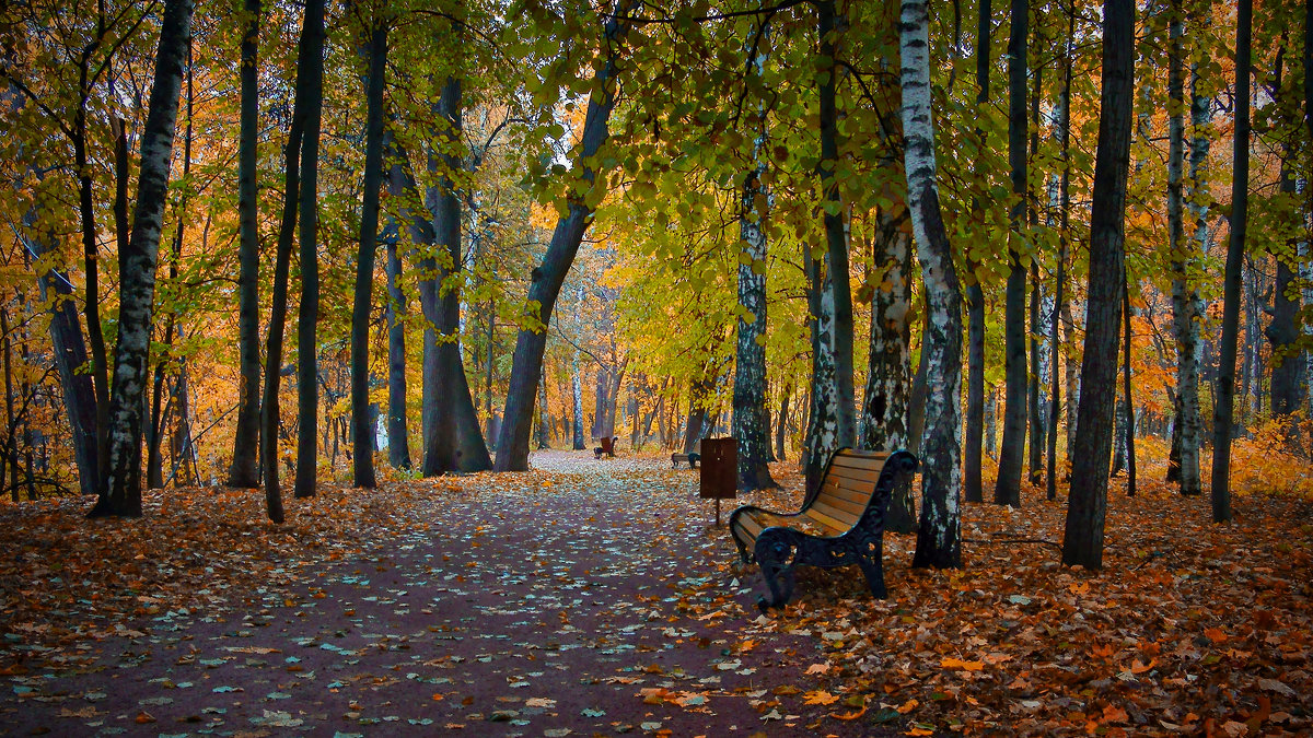 Осенний парк - Михаил Танин 