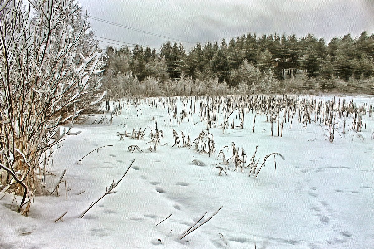 *** - Анжела Пасечник