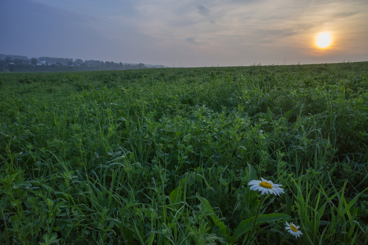 На сенном поле близ села Суходол. - Igor Andreev