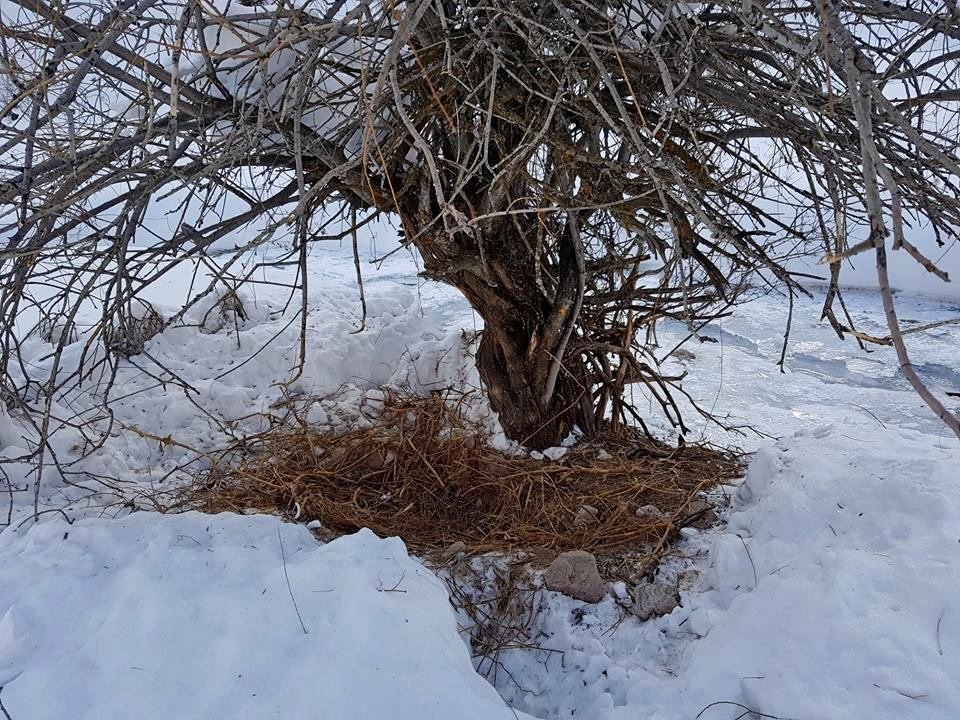 ОСЕННЕЕ ПУТЕШЕСТВИЕ, тёплое местечко. - Виктор Осипчук