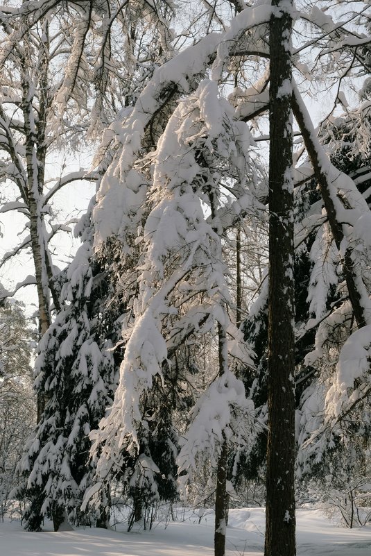 Зима, снег - Вячеслав 