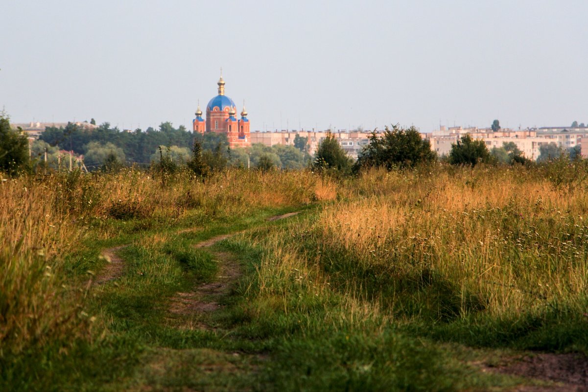 * - Антон Кривошейцев