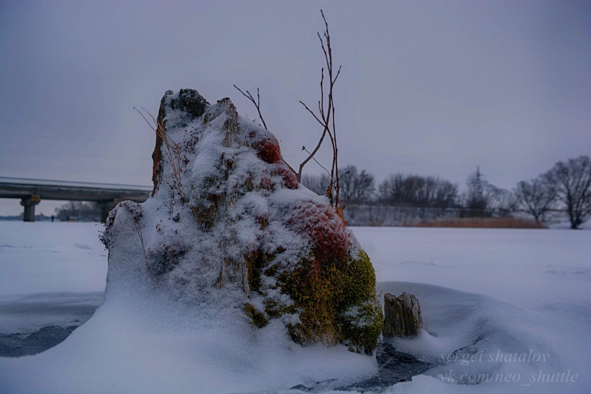 Закованный в лед островок - Сергей Шаталов