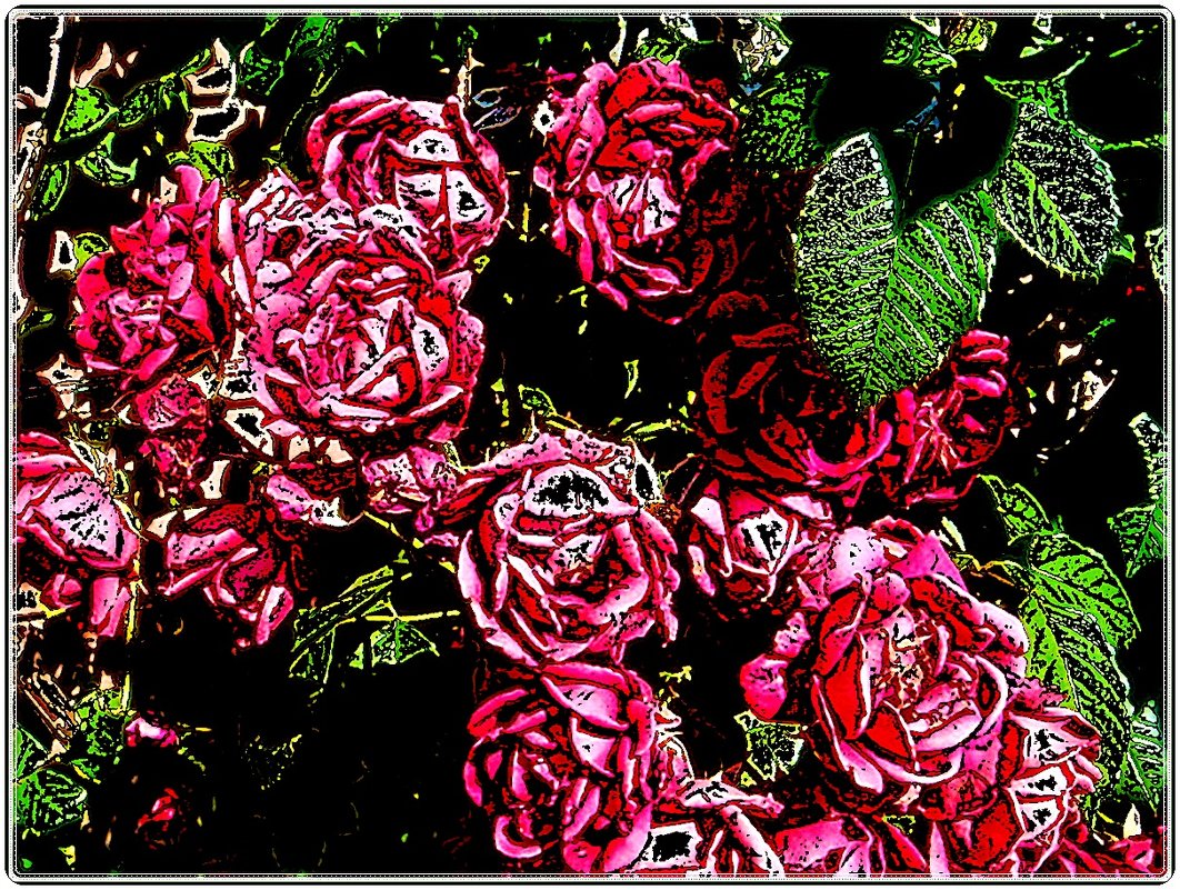 Июньские розы - Нина Корешкова