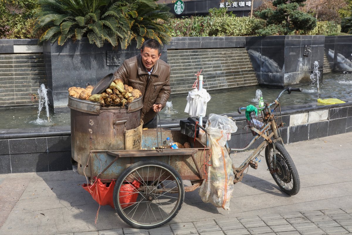 Продавец печёной картошки. Шанхай - Владимир Леликов