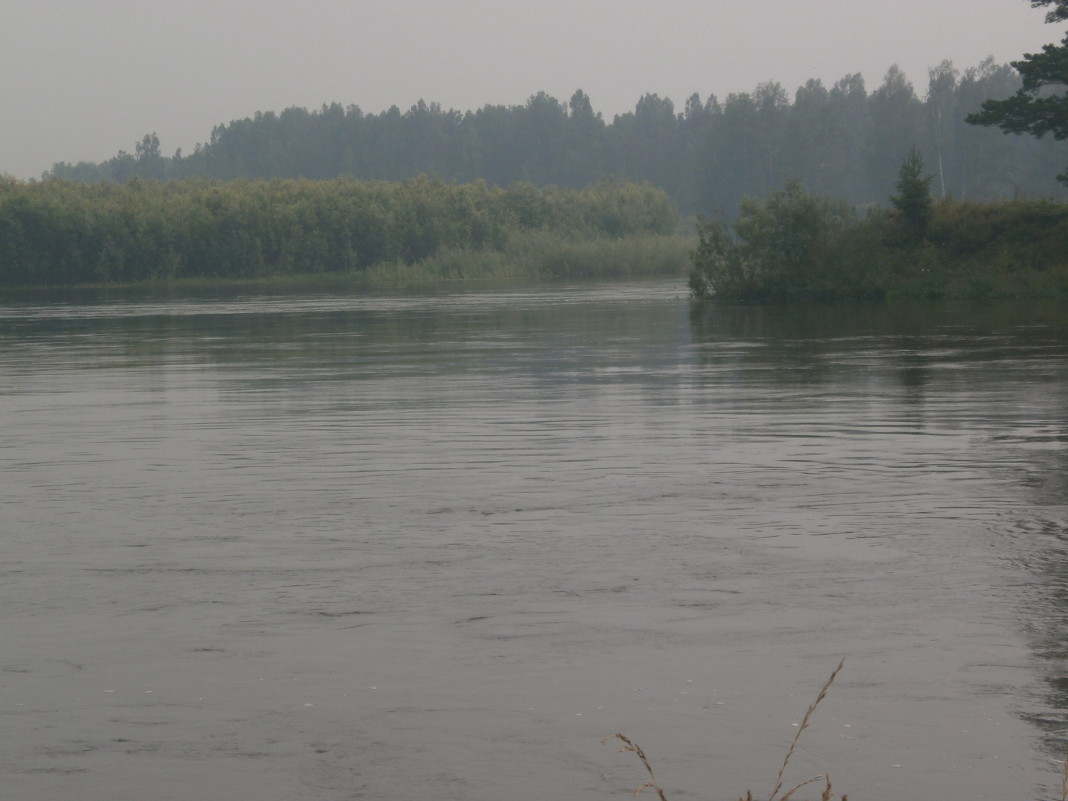 Туманная река - Алина 