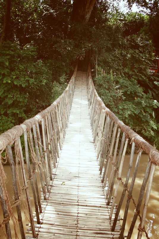 Верёвочный мост - Олеся Павлова