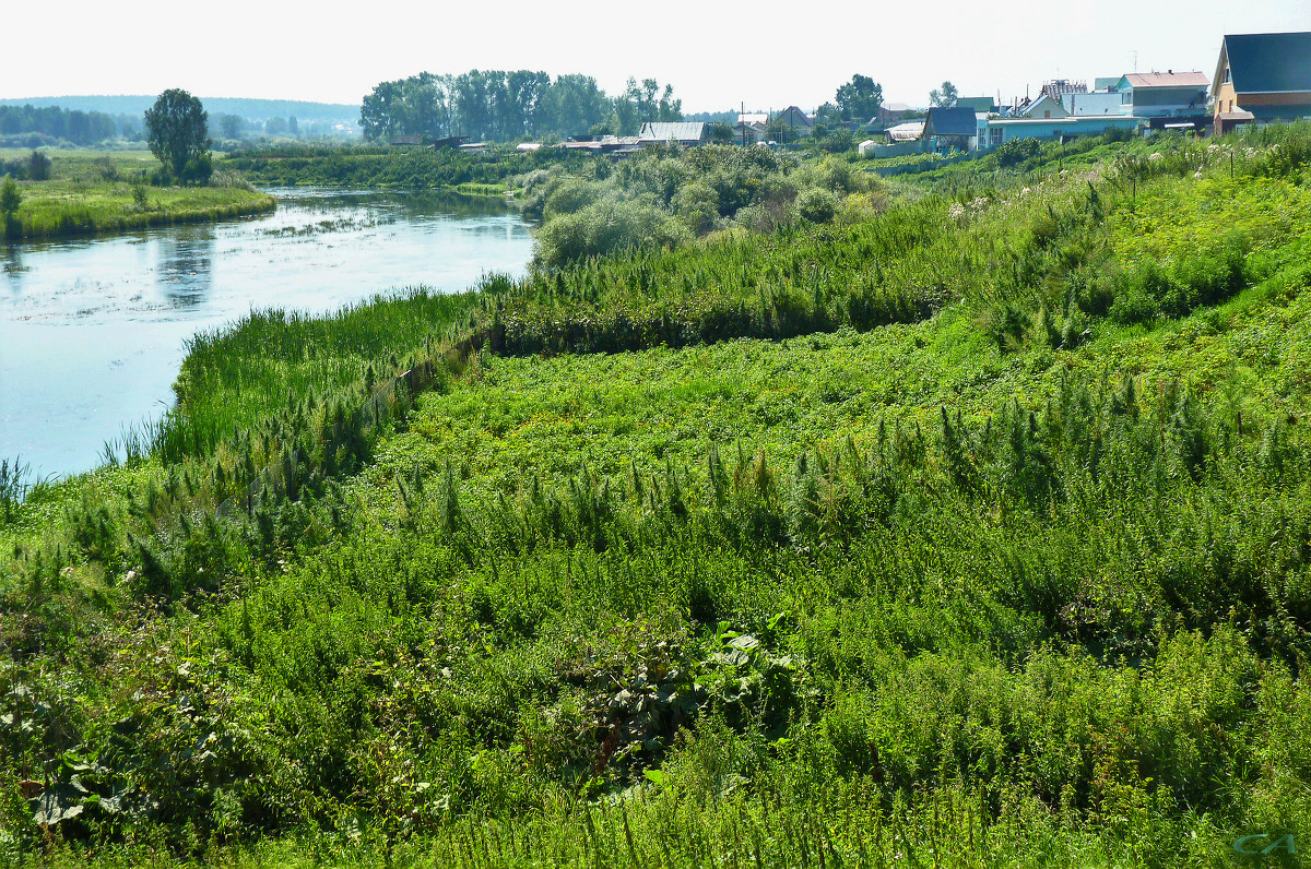 Село Кайгородово на берегу Миасса - Александр Садовский