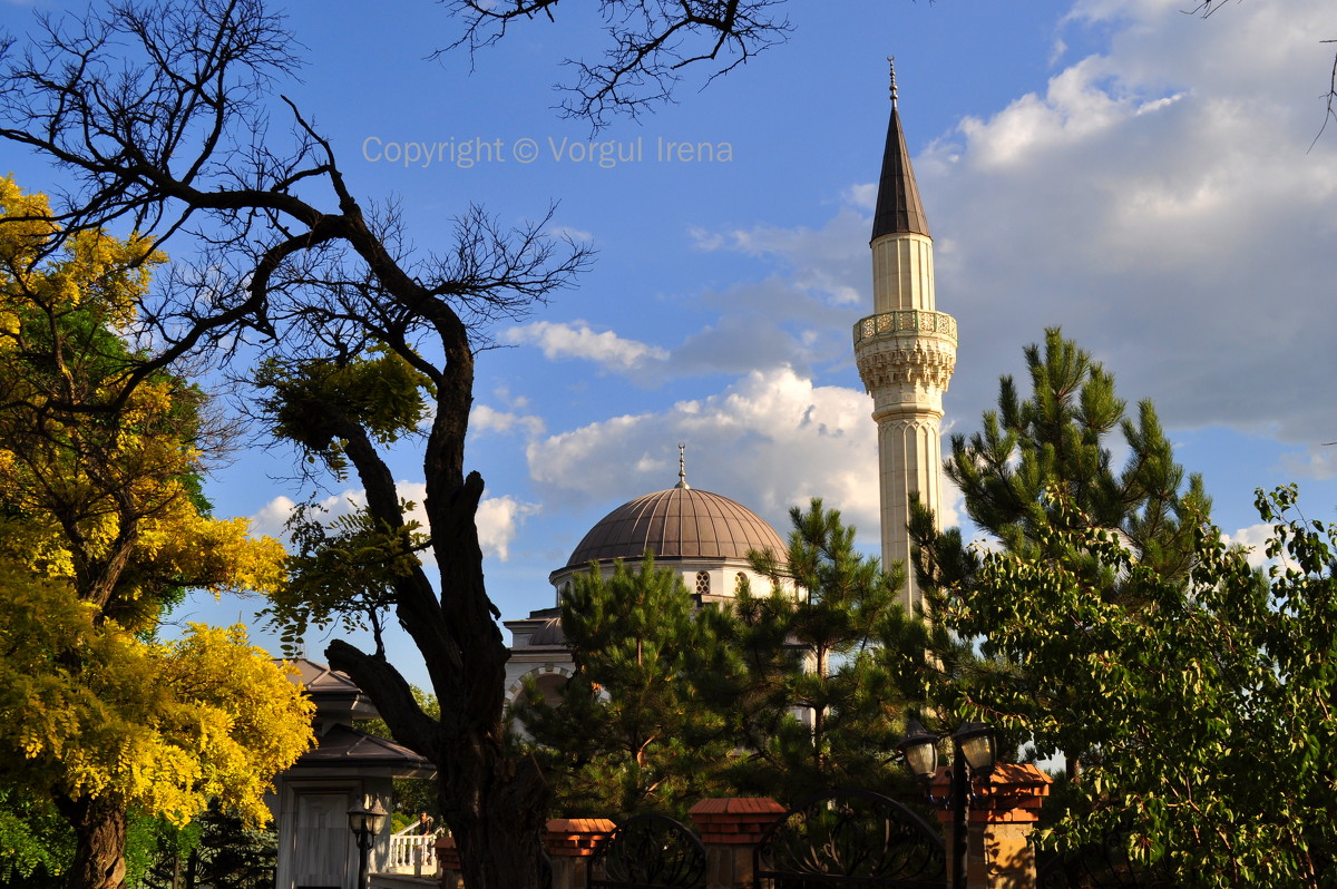 Турецкая мечеть - Ирена Воргуль