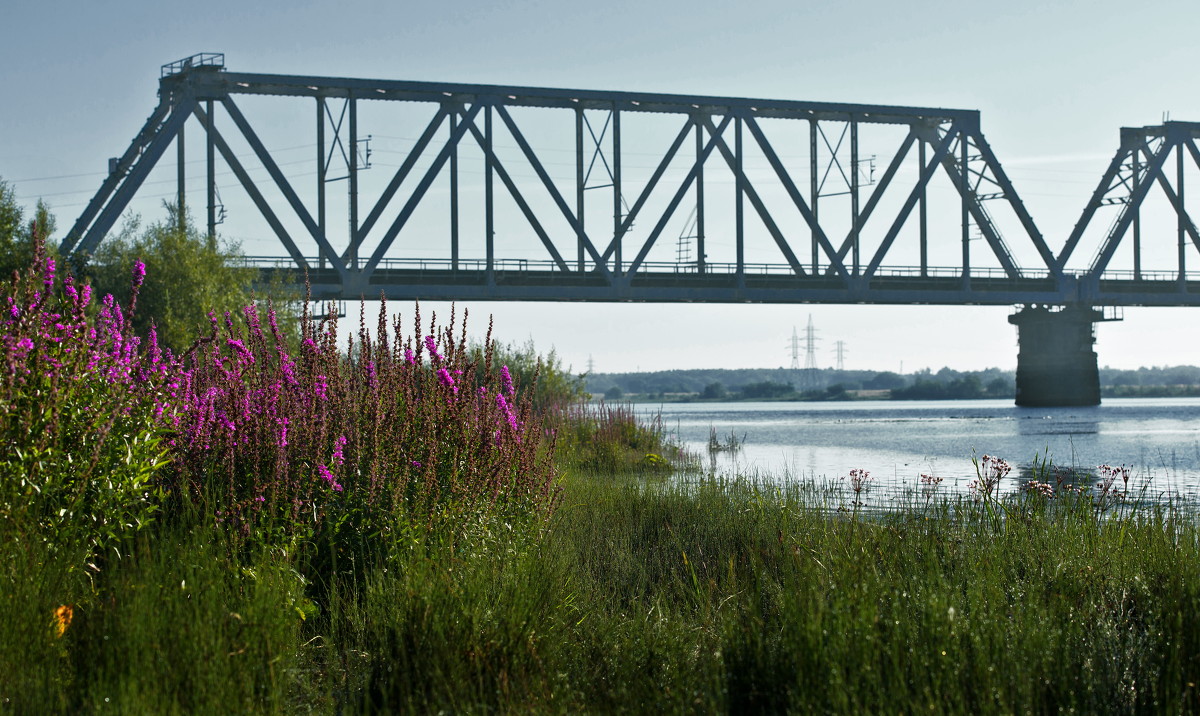 Мост через реку притоку Северной Двины - Алёна Михеева