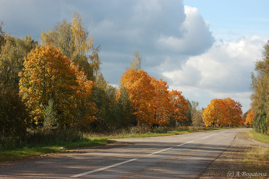 Осенняя дорога - Анастасия Богатова