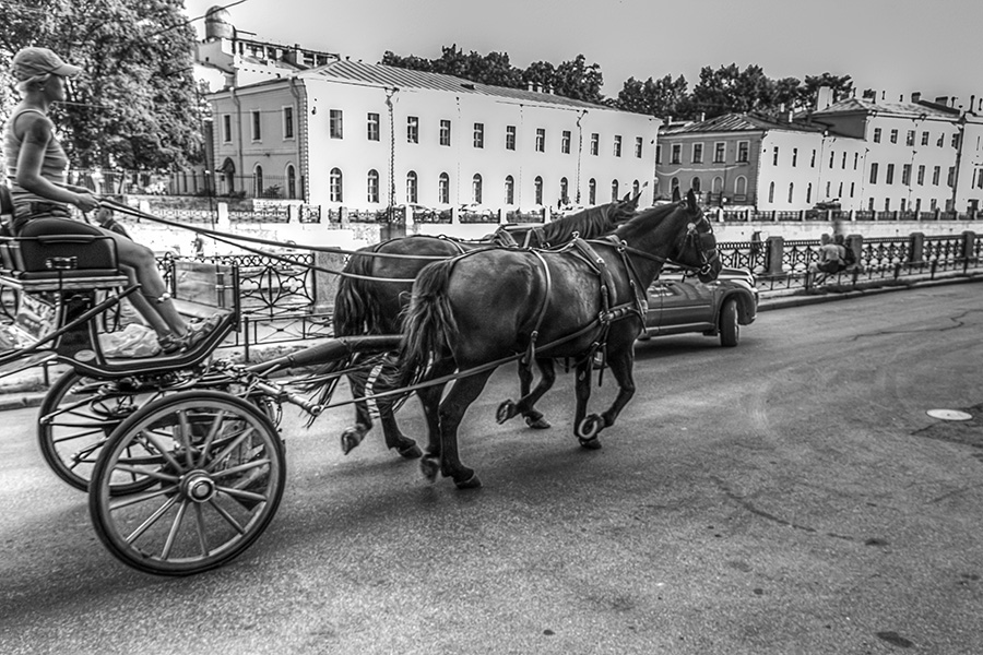 City Transport - Наталия Крыжановская