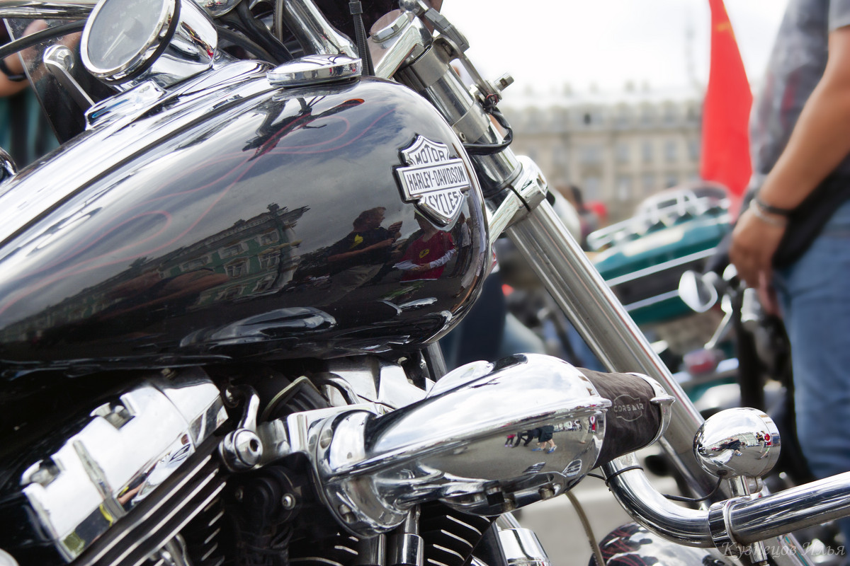 Парад Harley-Davidson в Петербурге - Илья Кузнецов