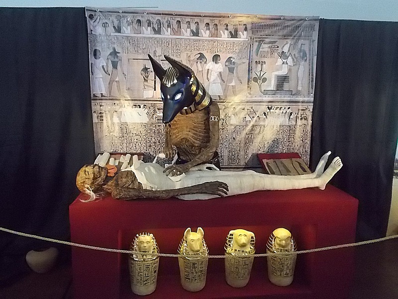 Египетские мумии у истоков времён - Сергей Кочнев