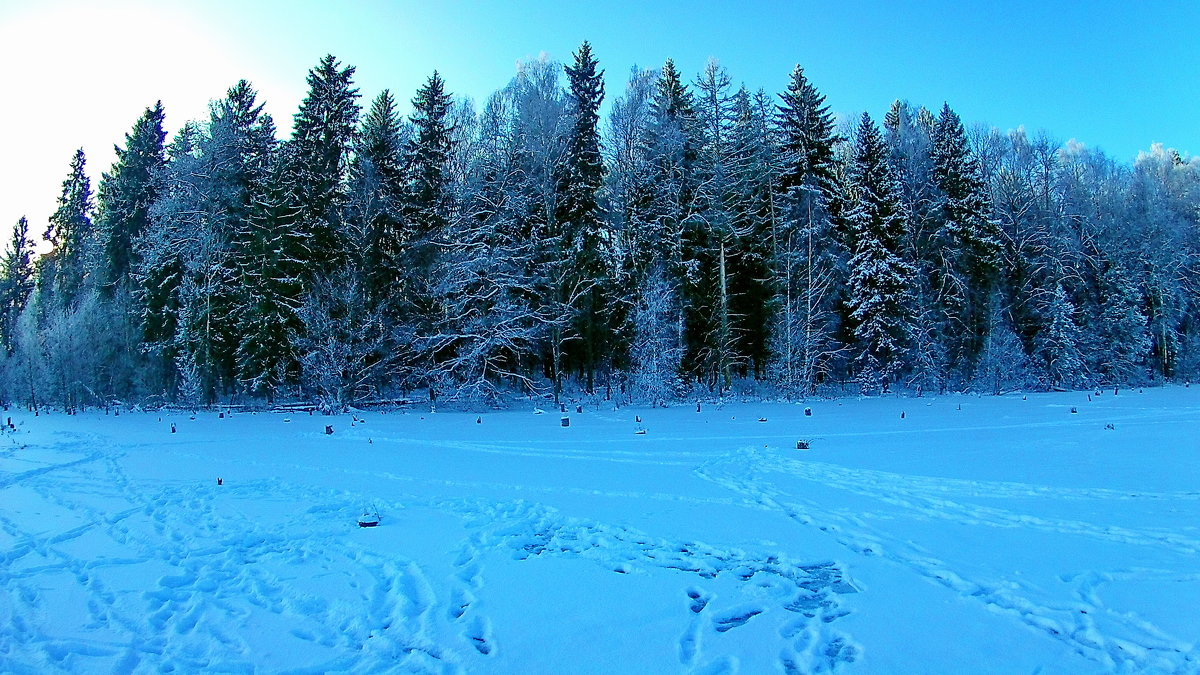 Зимняя красота - Сергей F