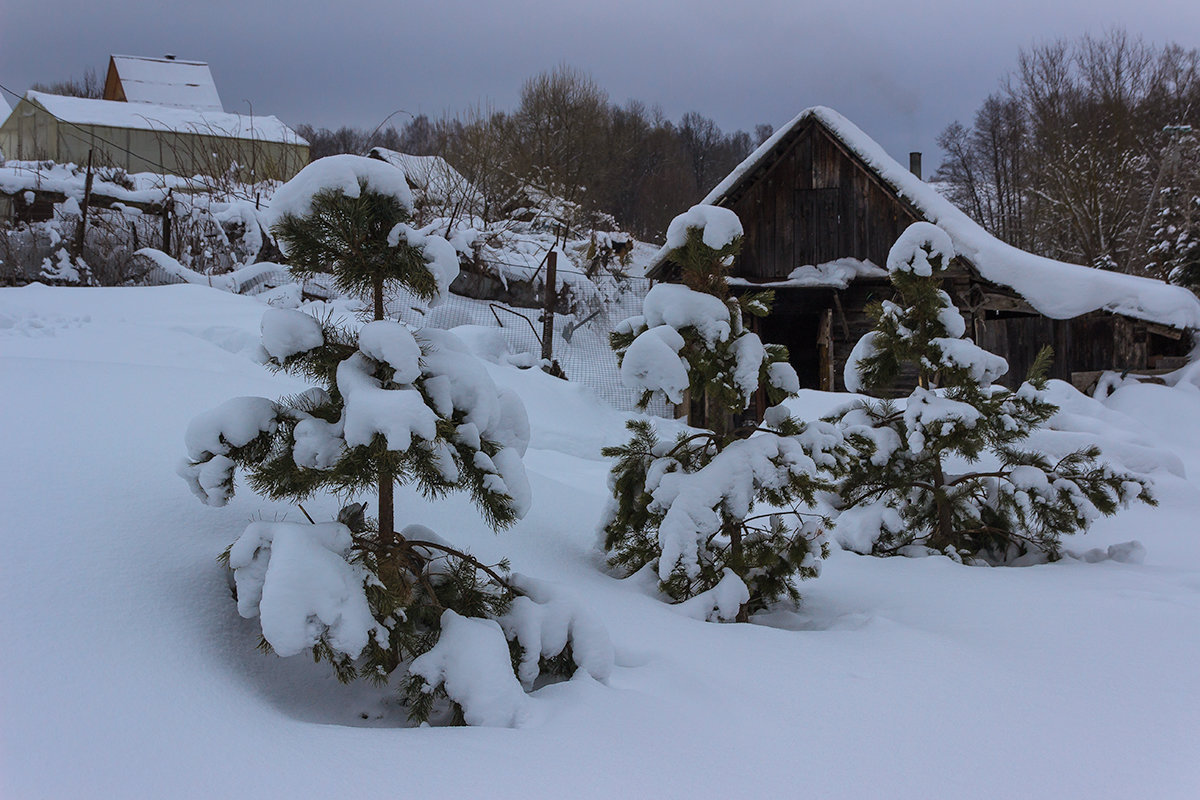 Зима в деревне - Виктор 