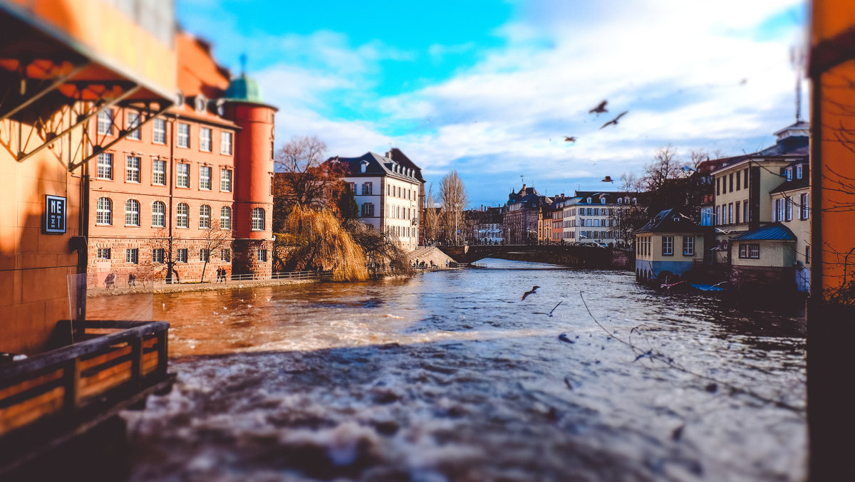 Strasbourg - Alena Kramarenko