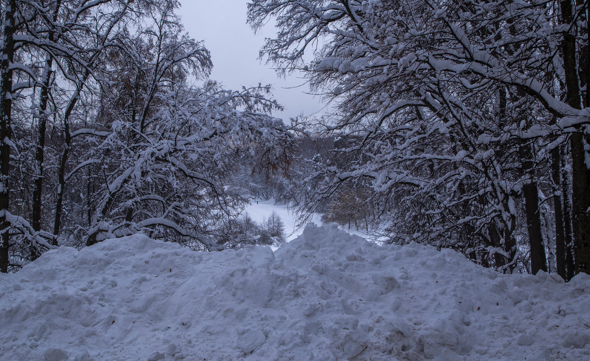 Февральский снег - Александра 