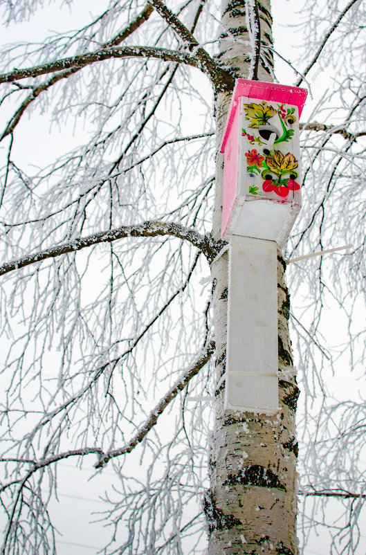 Летние краски зимой - Александр Лобанов