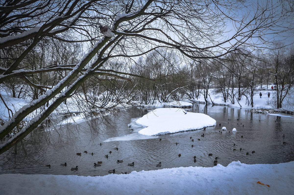 На реке Городне. Москва. - Oleg4618 Шутченко