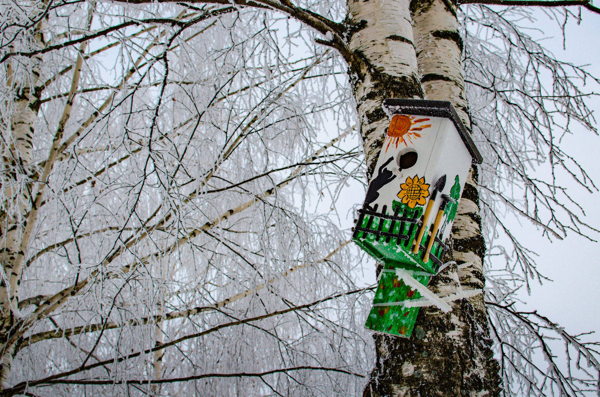 Летние краски зимой - Александр Лобанов