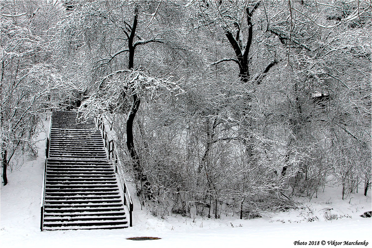 Лестница в зиму - Виктор Марченко