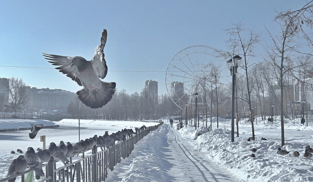 Зима в городе - Сергей Розанов